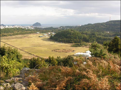 5만 년 전 화산의 역사를 간직한 제주 하논분화구 전경. 알오름인 '보롬이'를 품고 있다. 